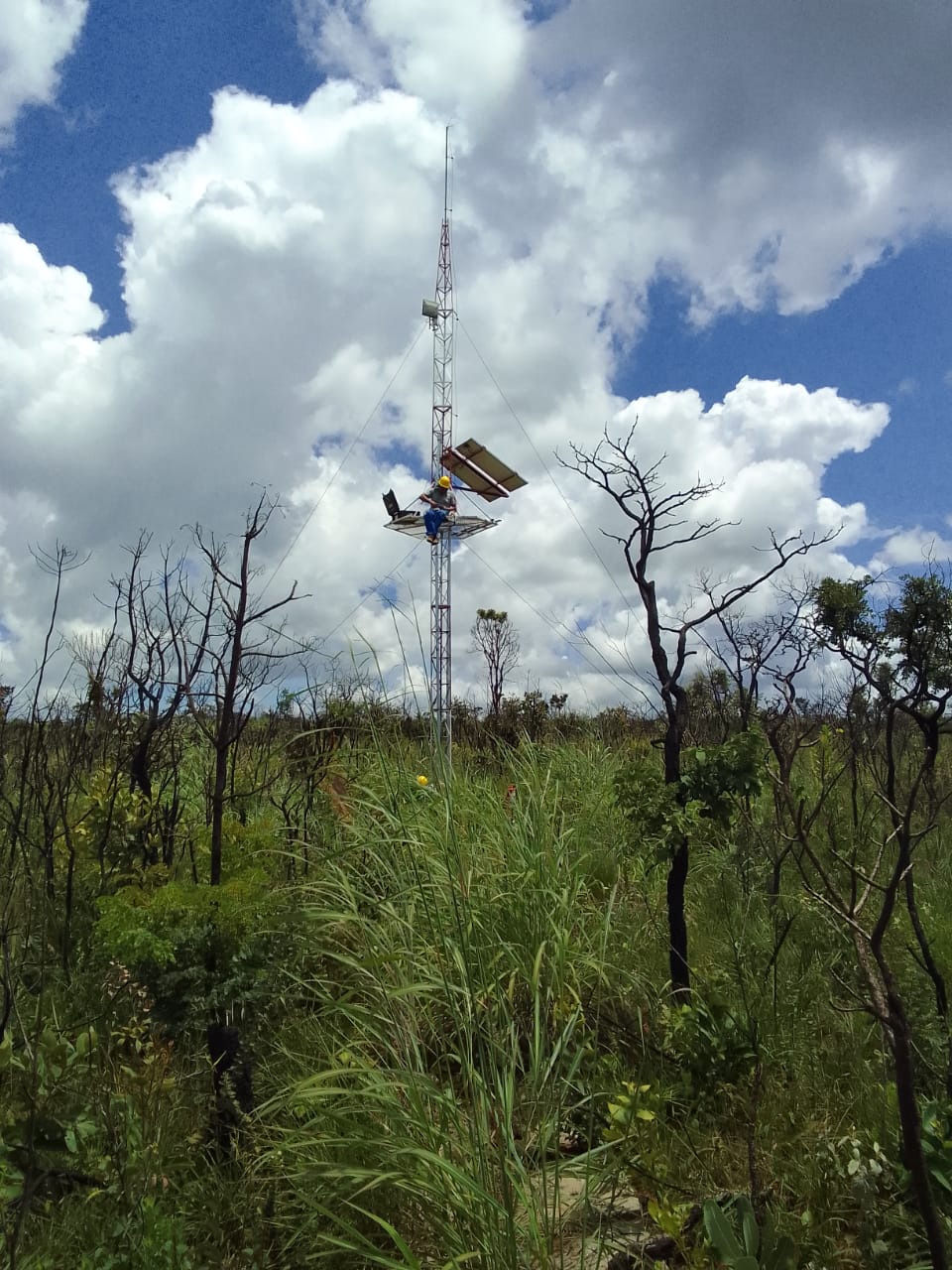 WhatsApp Image 2023-03-10 at 08.31.07.jpeg