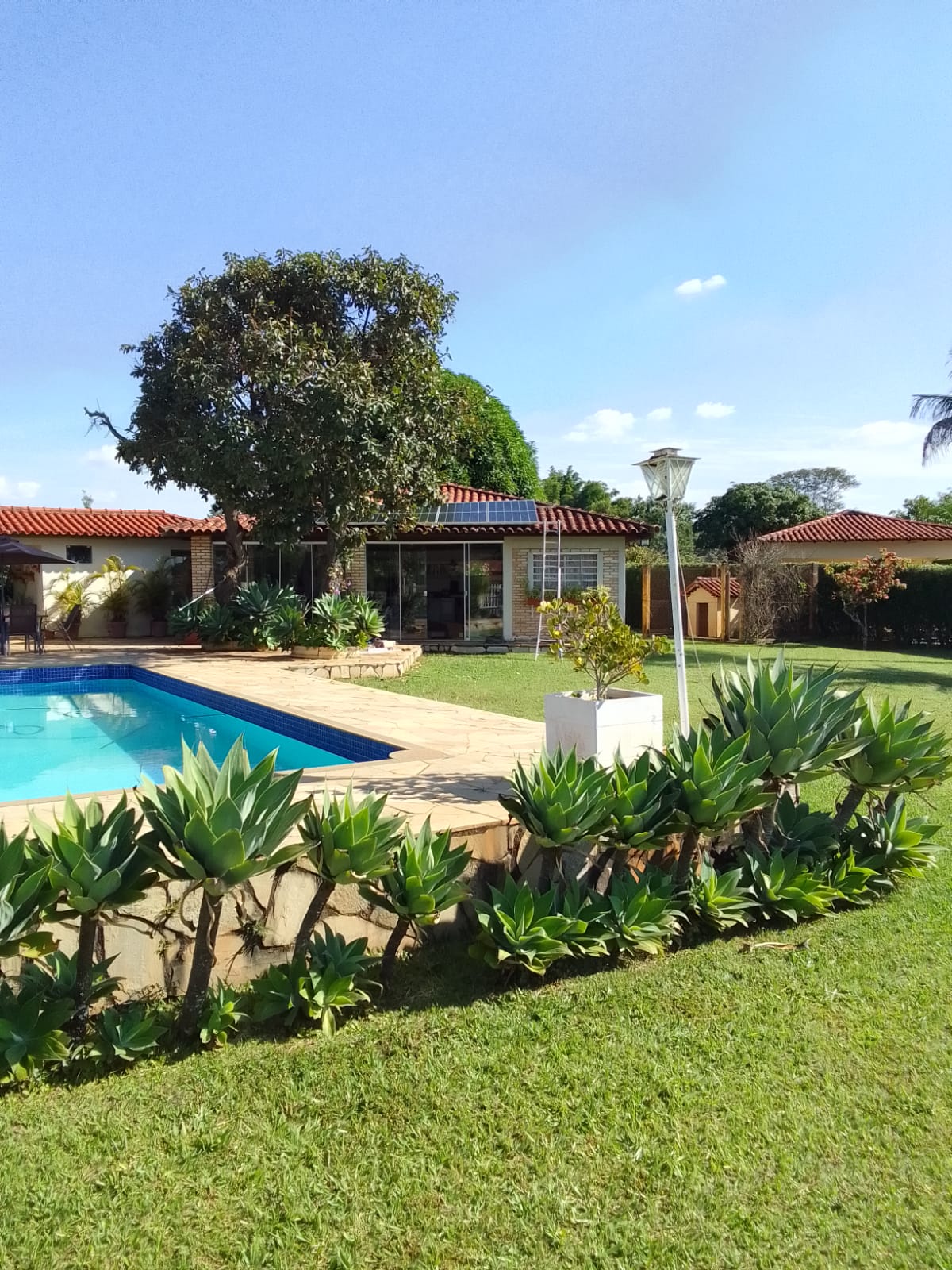 WhatsApp Image 2023-05-10 at 18.06.10.jpeg