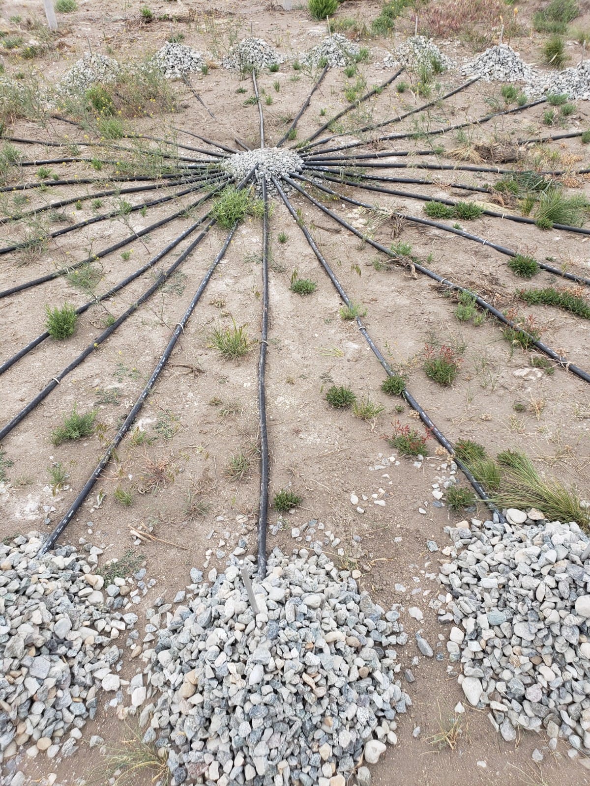 WhatsApp Image 2023-03-10 at 08.46.21.jpeg